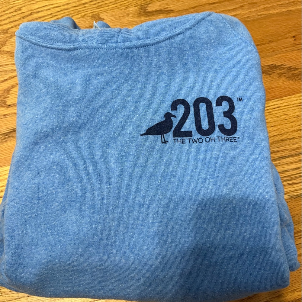 Blue hoodie CT size 14 but fit XS